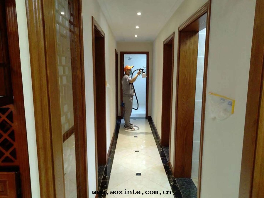 客餐廳过(guò)道(dào)墙面(miàn)噴涂施工