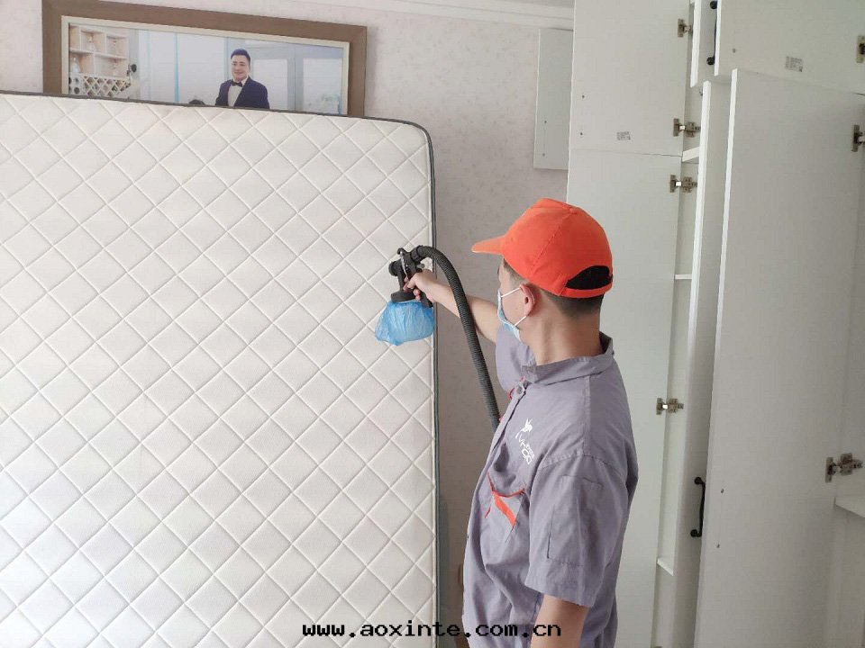 卧室(shì)床(chuáng)垫(diàn)全(quán)方(fāng)位(wèi)噴涂施工治理(lǐ)