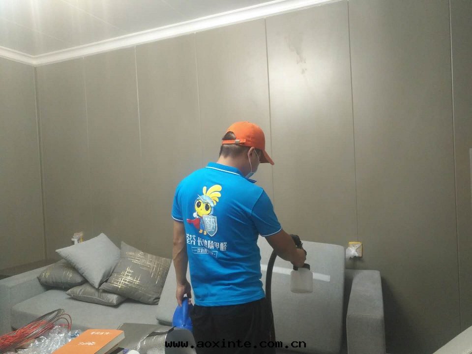 客廳沙(shā)發(fà)全(quán)方(fāng)位(wèi)噴塗施工