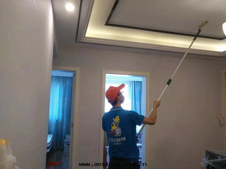 客廳吊顶滾筒全(quán)方(fāng)位(wèi)施工治理(lǐ)