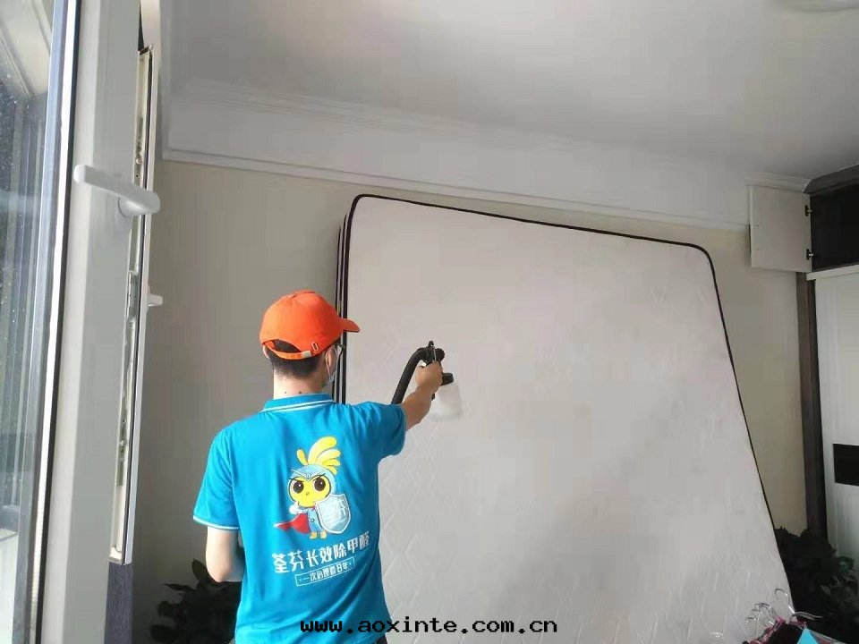 卧室(shì)床(chuáng)垫(diàn)全(quán)方(fāng)位(wèi)甲醛治理(lǐ)噴涂