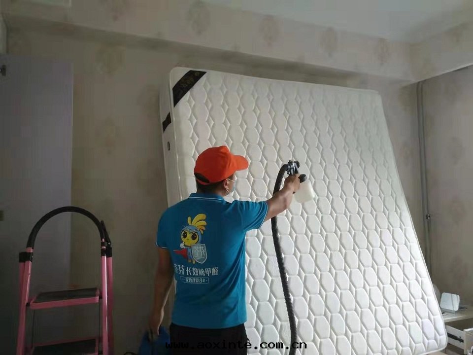 卧室(shì)床(chuáng)垫(diàn)噴涂全(quán)方(fāng)位(wèi)施工治理(lǐ)