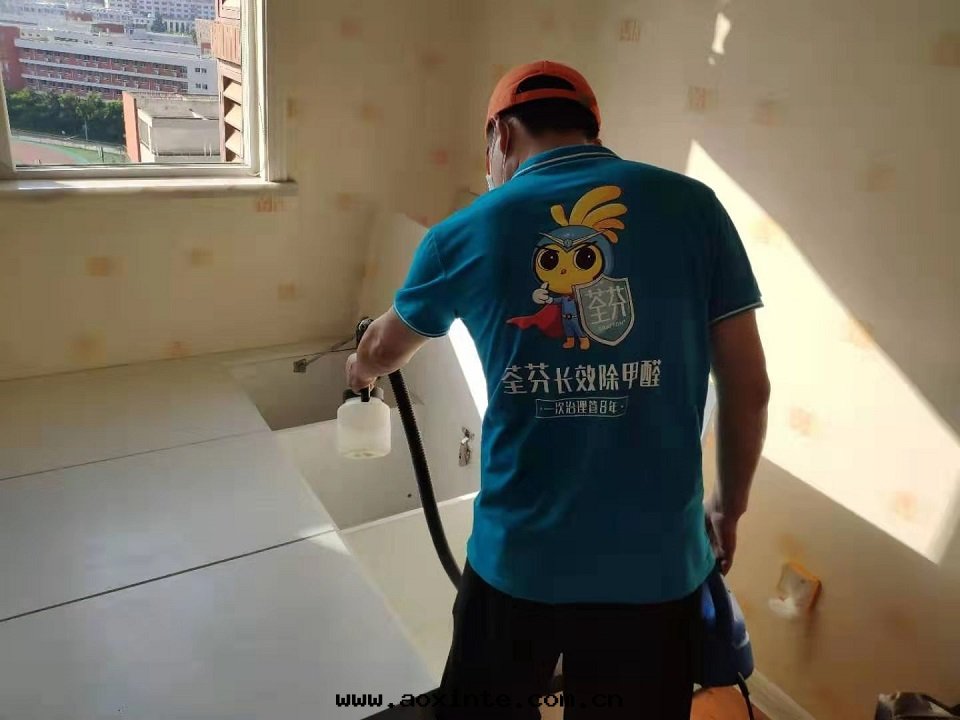 卧室(shì)榻榻米(mǐ)全(quán)方(fāng)位(wèi)噴涂治理(lǐ)甲醛