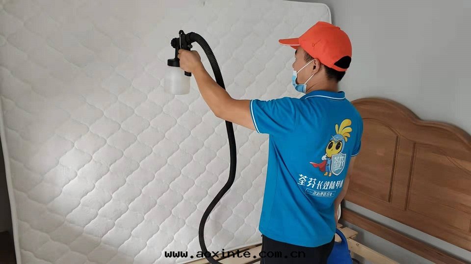 卧室(shì)床(chuáng)垫(diàn)全(quán)方(fāng)位(wèi)噴涂施工