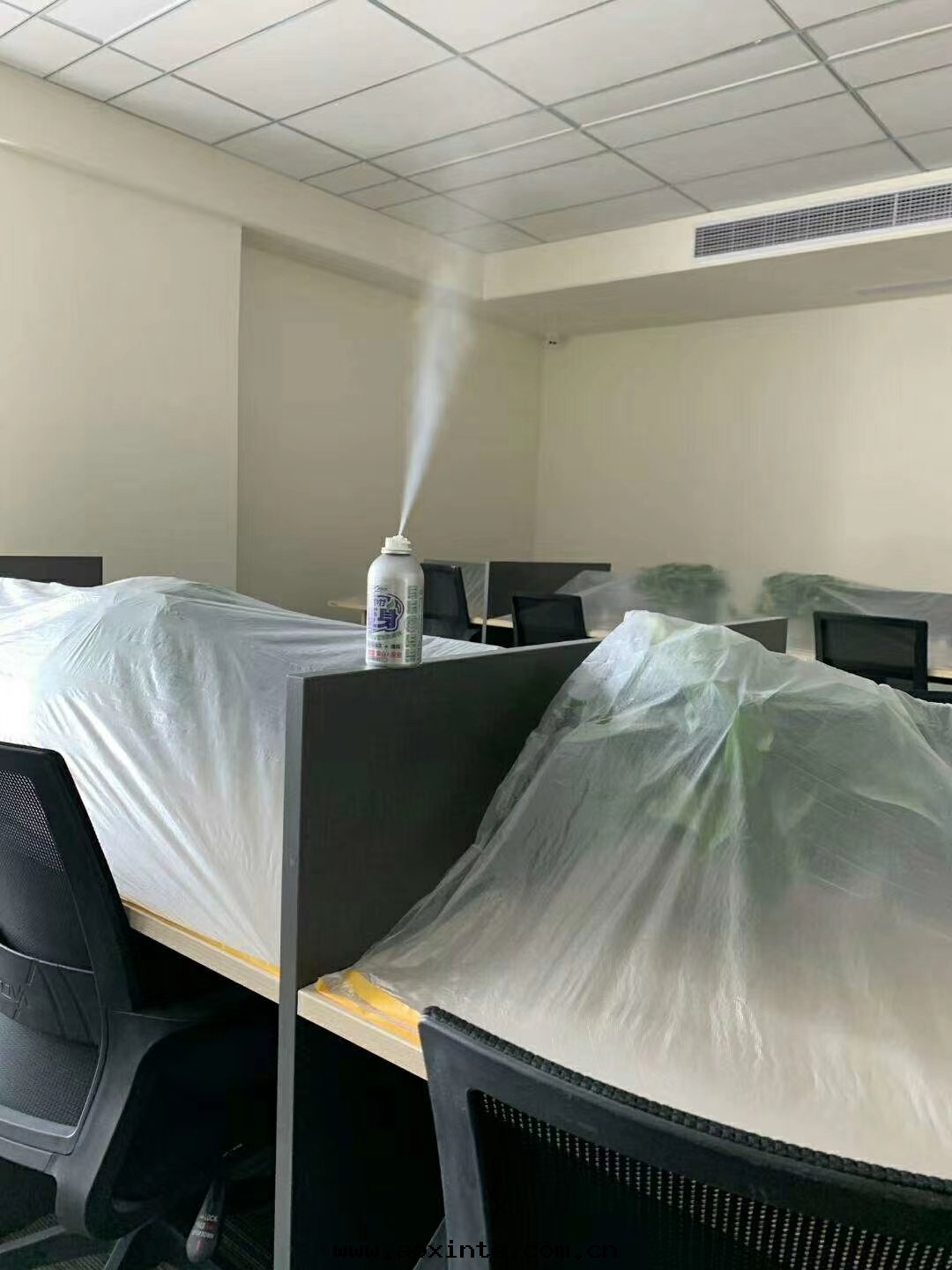 银(yín)光車寶(bǎo)開(kāi)啟除甲醛