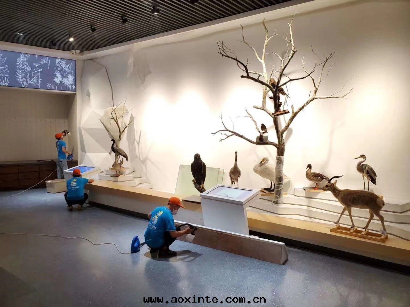 荃芬西(xī)甯除甲醛施工