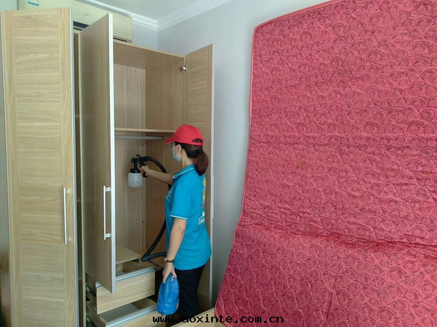 衣(yī)櫃噴涂除甲醛産品