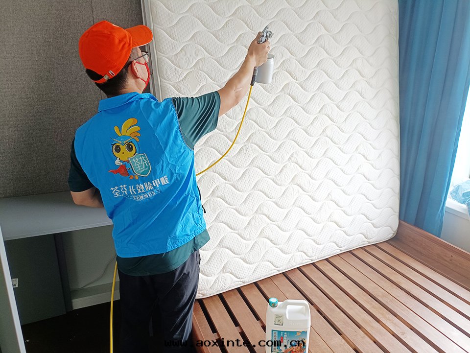 卧室(shì)床(chuáng)垫(diàn)精细(xì)化(huà)噴涂治理(lǐ)
