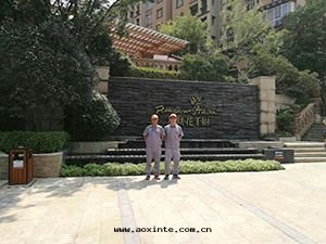 龍湖(hú)花(huā)千(qiān)樹(shù)荃芬除甲醛施工案例