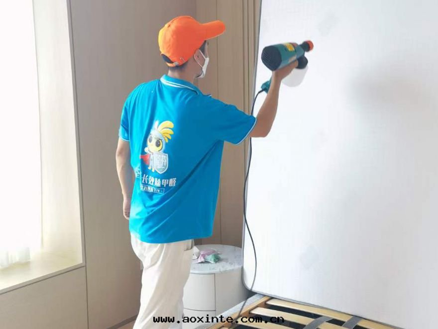 深圳银(yín)湖(hú)藍(lán)山(shān)•複試大(dà)宅(zhái)除甲醛施工